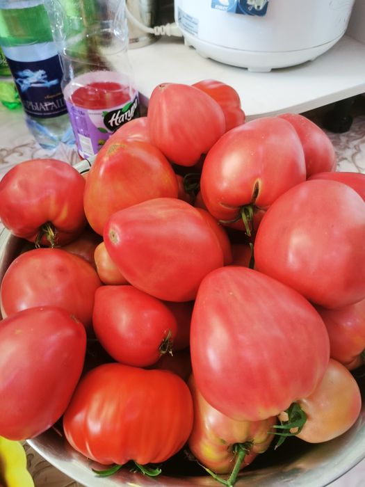 Продам домашние огурцы