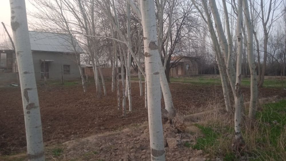 Ховли уй сотилади