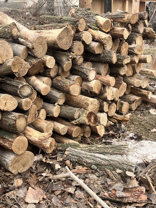 Дрова карагач. Колотые и цельные