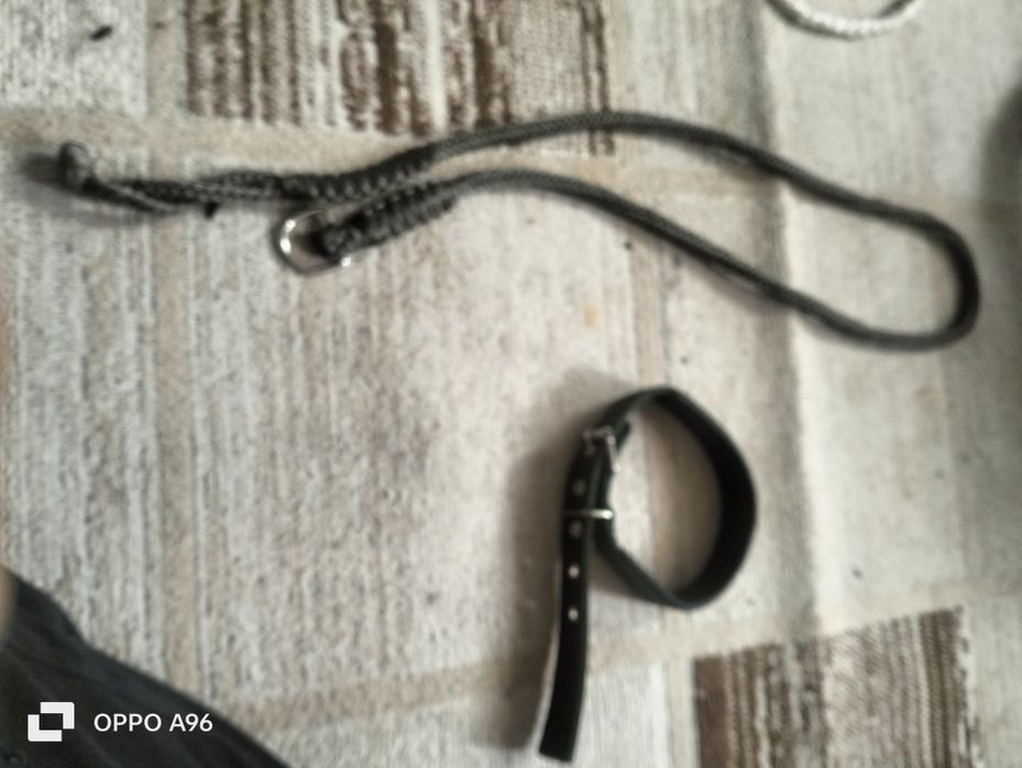 Продам два поводка