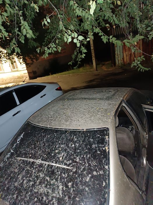 Nissan Primera 1992