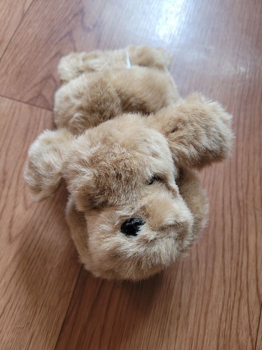 Две плюшевые собачки