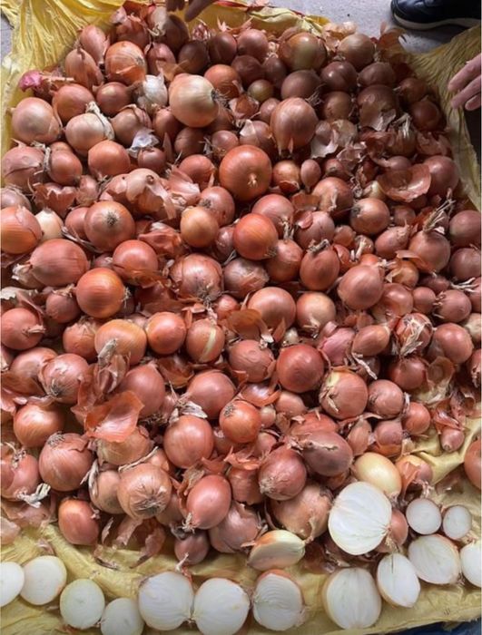 Лук репчатый сухой