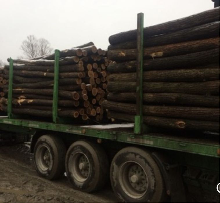 Stalpi de salcam pt gard sau terase rustice