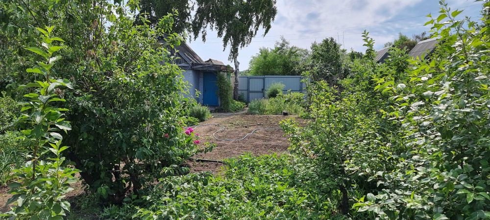 Продам дачу в СО "Текстильщик-1"