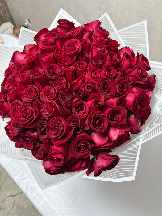 Голандский роза 101 шт