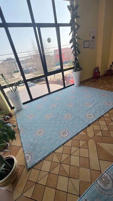 Ковры для детского сада