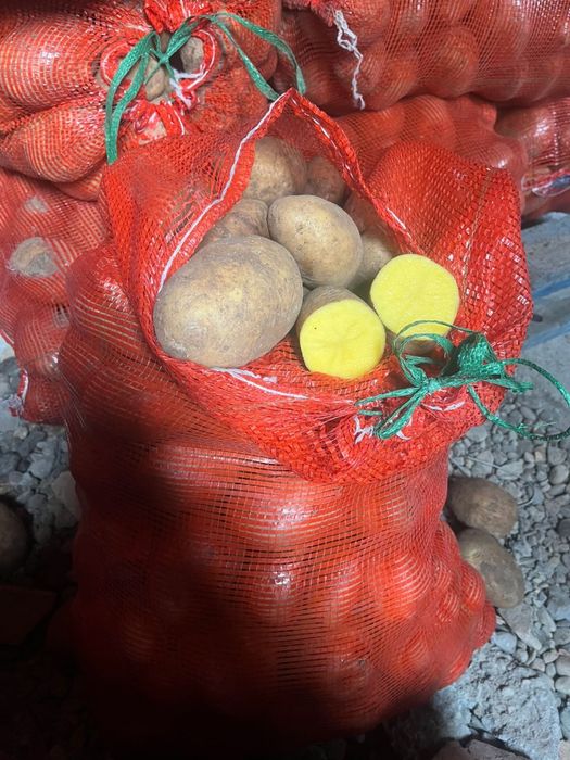 Картошка с Павлодара