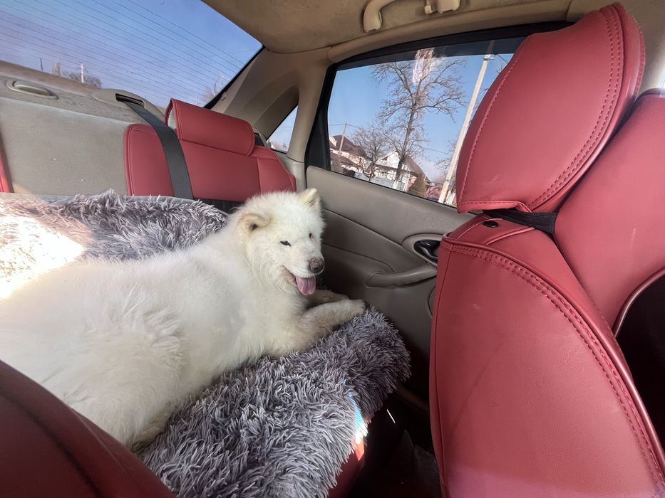 Обмен или продам