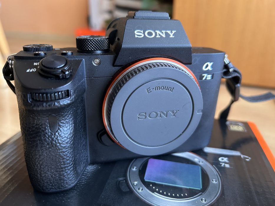 Sony A7III + Sigma 85mm f/1.4 DG Art