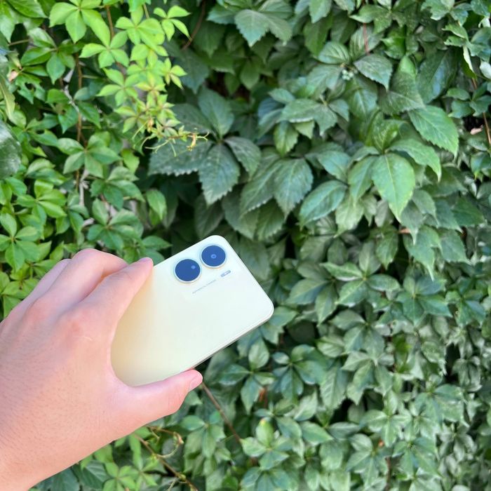 Vivo Y61 ideal telefon
