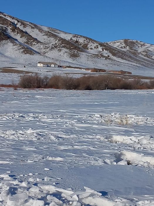 Продам Зимовку Каркаралинск