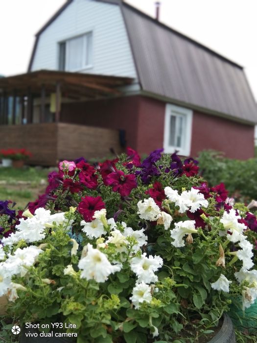 Продадим ухоженную дачу