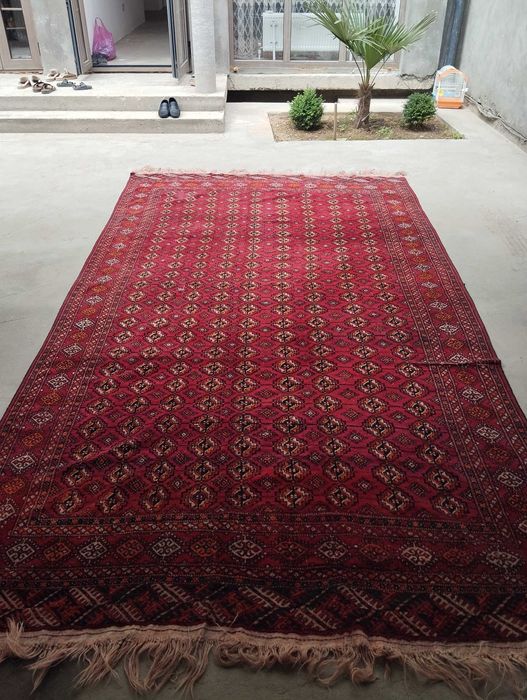 Turkman gilamlar/Turkmen carpets