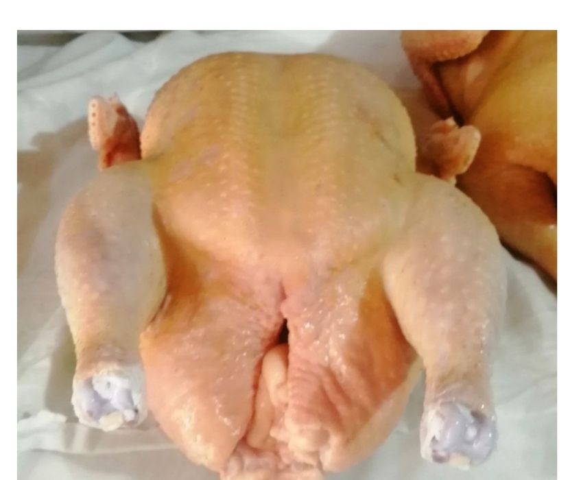 Домашний бройлер