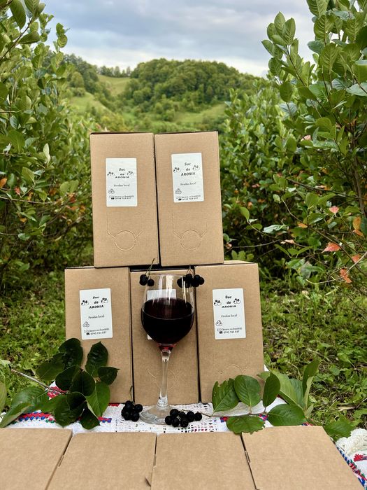 Suc de ARONIA 100% Natural