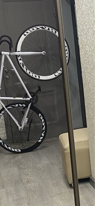 Фикс (синглспид)