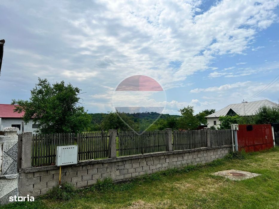 Casă cu teren generos de 8.774 mp, în Mareș – Albota
