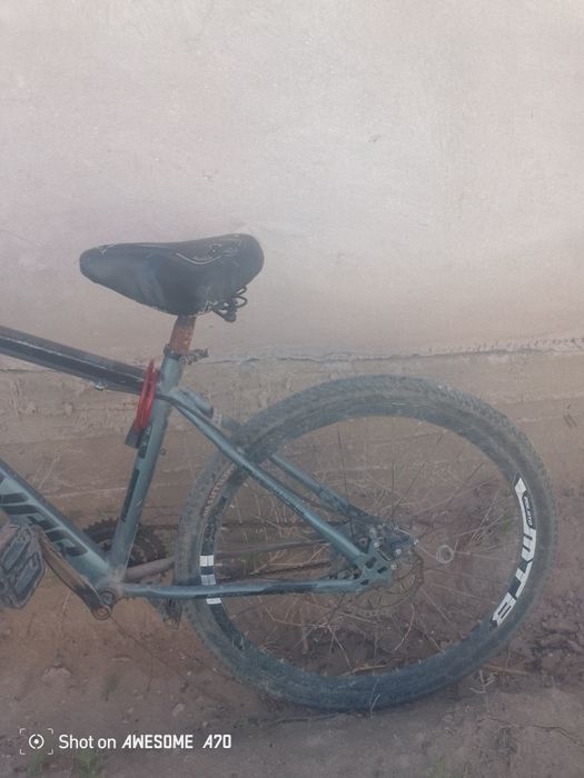 Велик сатылады 40к падарка барыс велик