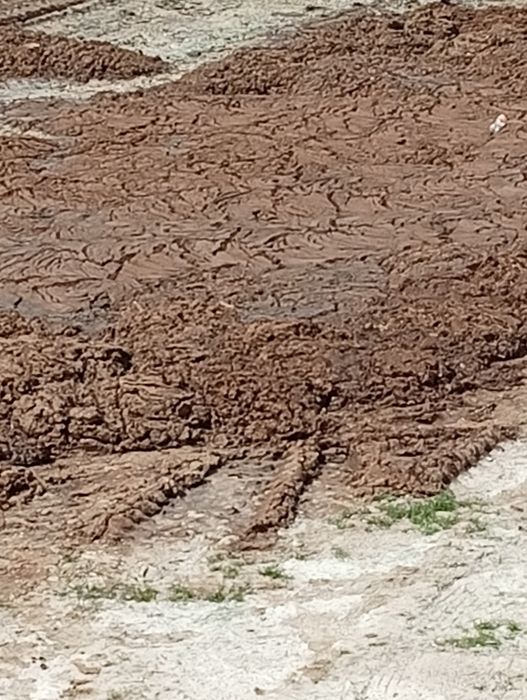 Гунг пору сотилади катта обемда