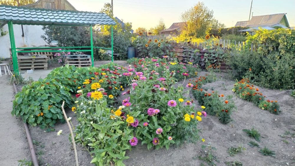 Продаю дачу в обществе Алма