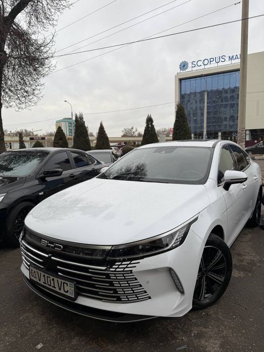 Byd chazor tumanka begushiy