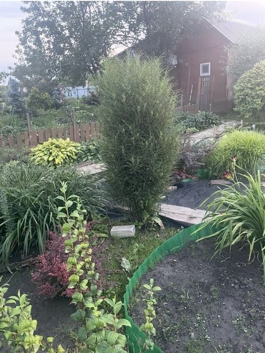 Дача 10 соток Локомотив