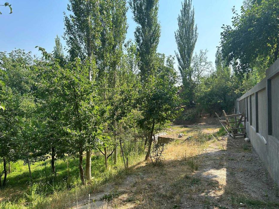 Sijjak, Chorvoq yaqinida yer uchastkasi sotiladi / Земля у Чарвака