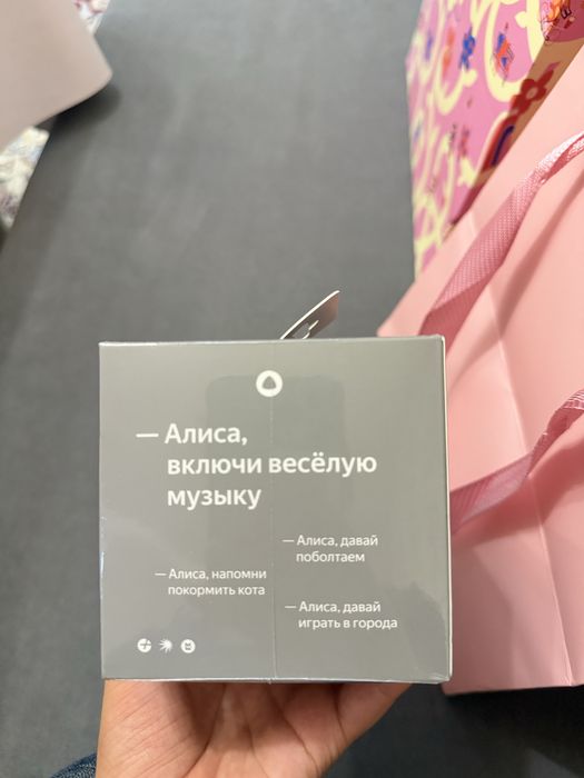 Алиса станция лайт 2