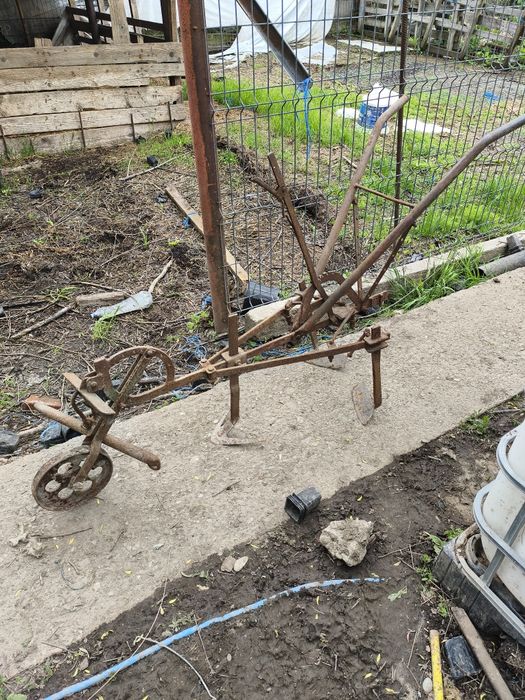 Prășitoare și rarita