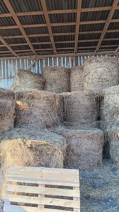 Vand baloti de lucerna