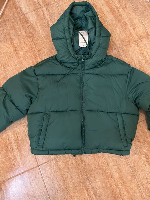 Яке  Terranova.    .