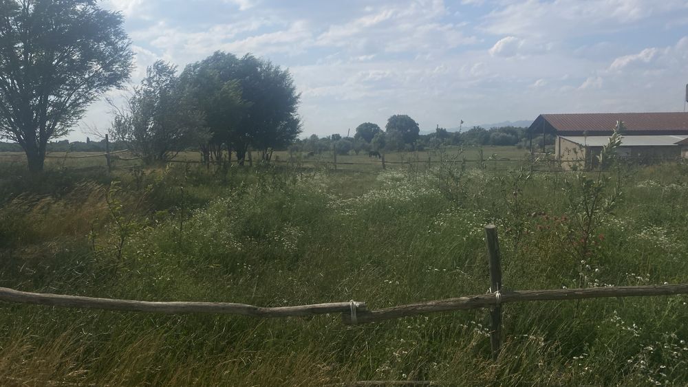 Срочно продается фазенда