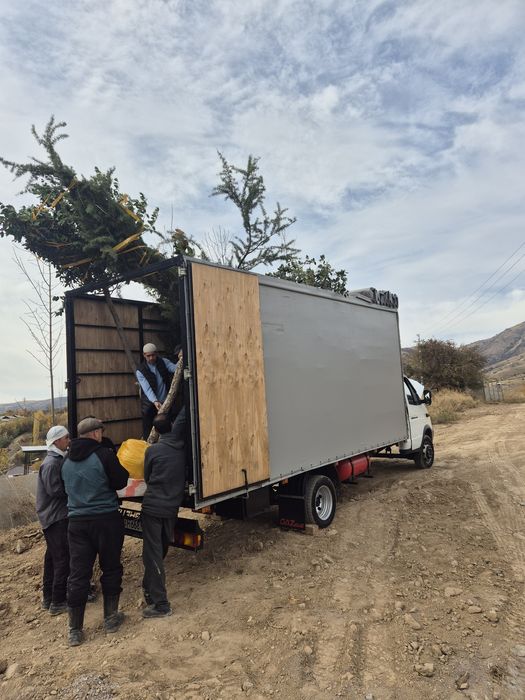 Грузоперевозки на газель.Gazel yuk tashish xizmati. Перечисление