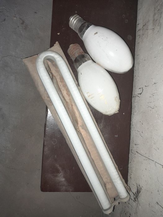 Лампочки ярко светит