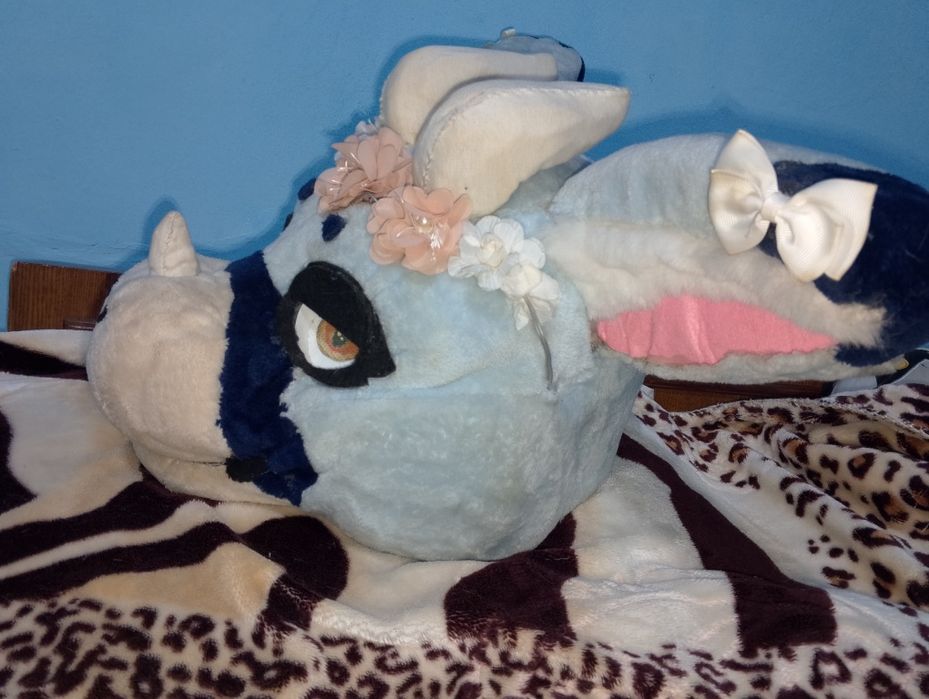 фурсьют ангельский дракон