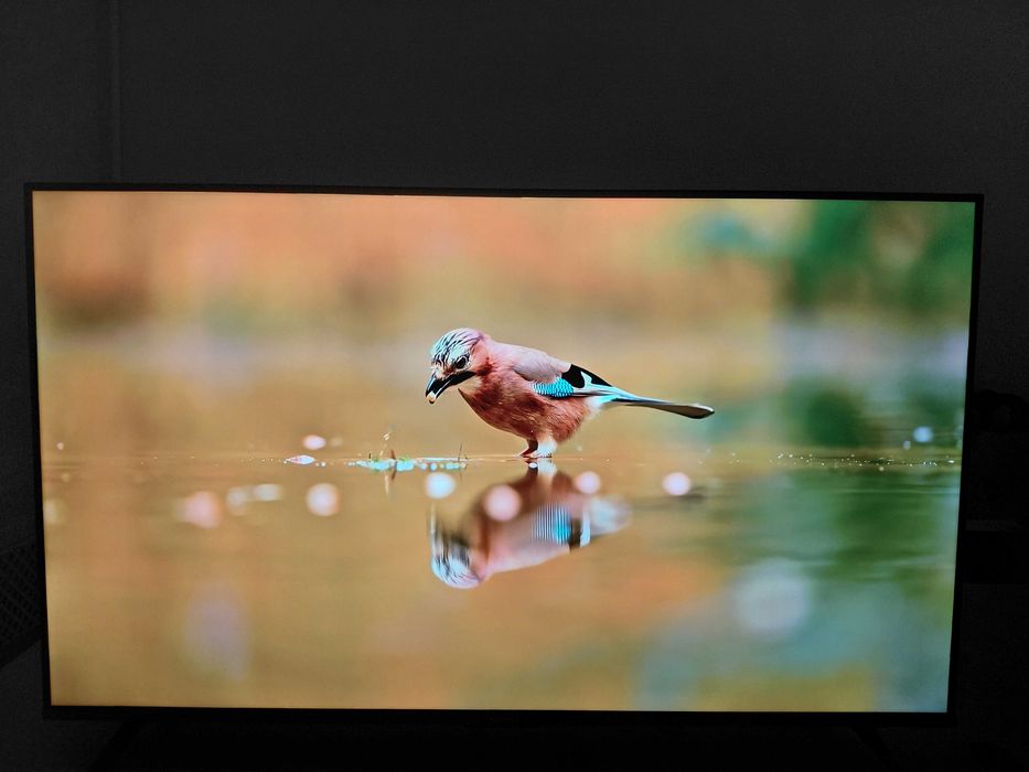 Xiaomi tv a pro 43 2026