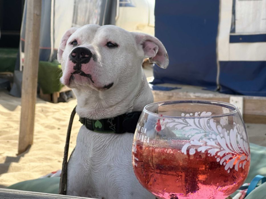 Каравана под наем на 30 мерта от морето