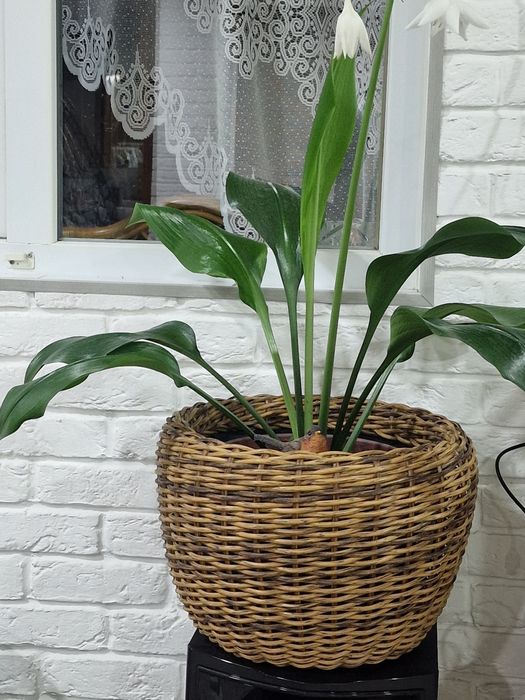 Кашпо. Ручная работа