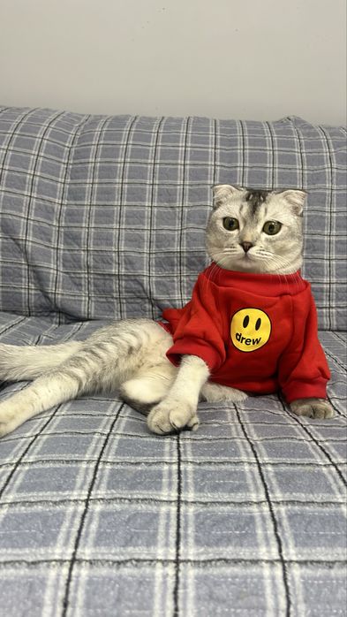 Стерлизованная шотландка