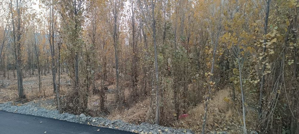 Yer sotiladi , ochiq yer maydoni 17sutix