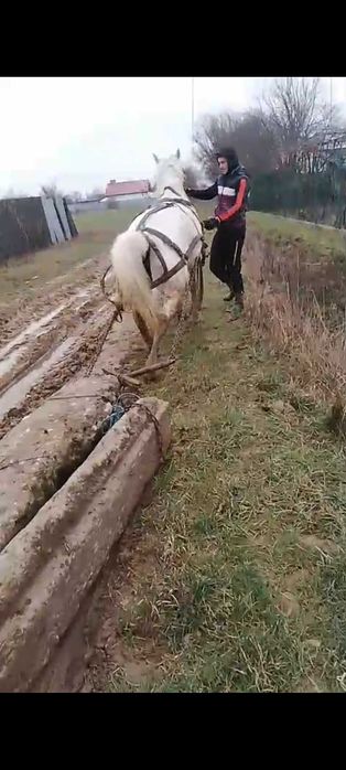 Iapa de vânzare pentru muncile agricole