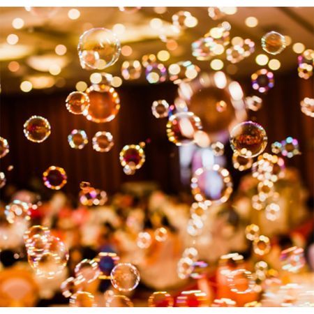 Masina dubla de facut baloane de sapun cu telecomanda roz