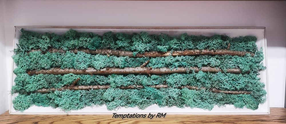 Картини със скандинавски мъх