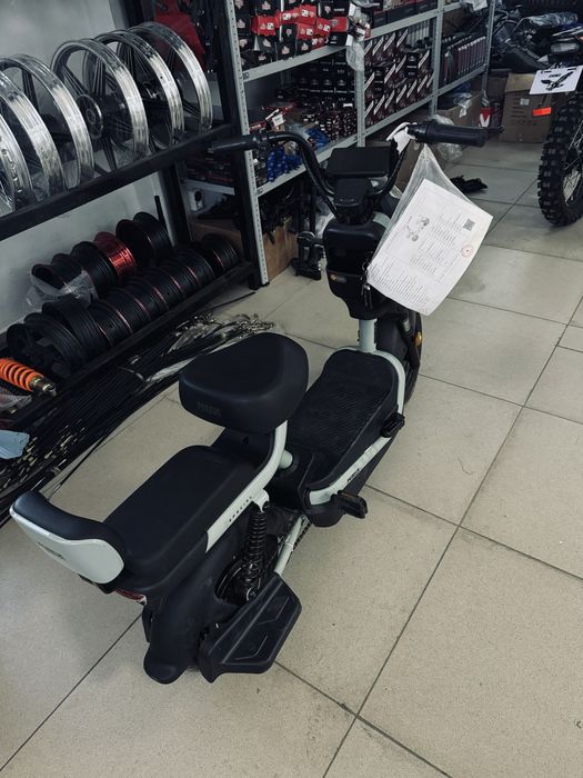 Electric Bicycle 125cc