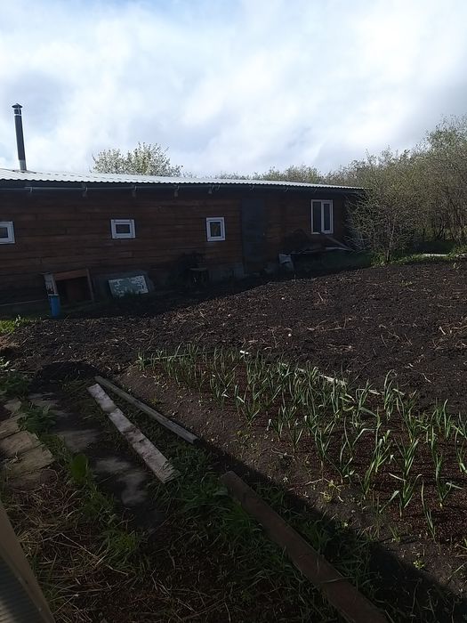 Дача, общество Новинка