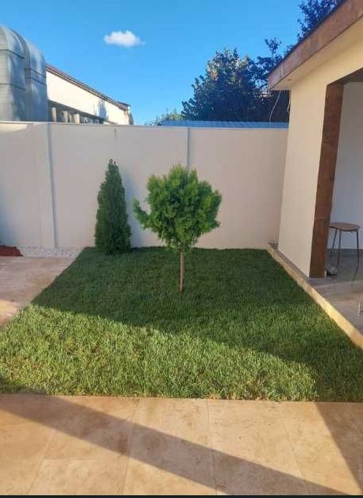 Gazon rulou de o super calitate