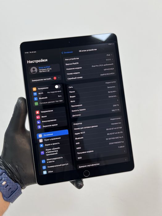 Ipad Pro  256Gb