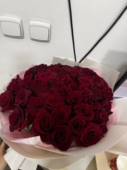 51 роза темно бордовые