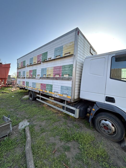 Camion apicol cu 72 de lazi pe pat cald